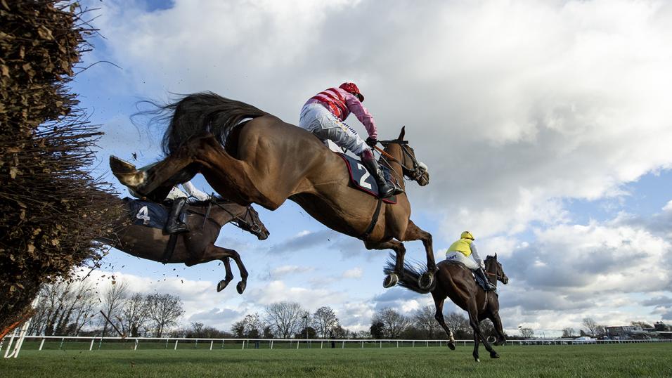 Horses jumping